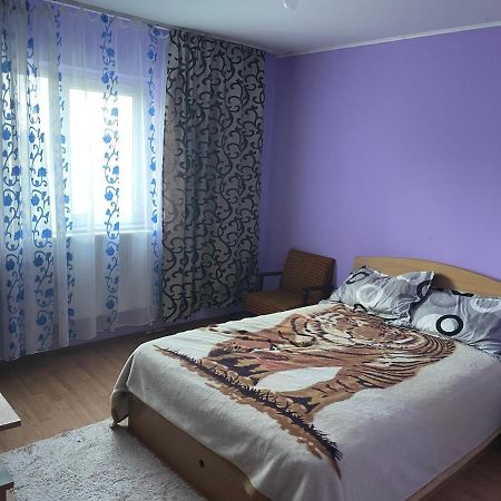 Apartmán Sofia Rezidence Dragasani Exteriér fotografie